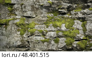 crevices rock wall texture ai generated. Стоковое AI-изображение, AI-художник Vectorwin / Фотобанк Лори