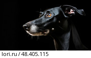 greyhound moon and water ai generated. Стоковое AI-изображение, AI-художник Vectorwin / Фотобанк Лори