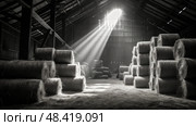 sunlight hay black and white ai generated. Стоковое AI-изображение, AI-художник Vectorwin / Фотобанк Лори