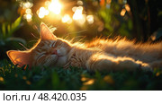 An orange cat enjoys a serene nap on soft grass, basking in the warm glow of the setting sun while surrounded by vibrant foliage. Стоковое AI-изображение, AI-художник Данила Большаков / Фотобанк Лори