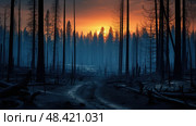 blackened forest fire oregon ai generated. Стоковое AI-изображение, AI-художник Vectorwin / Фотобанк Лори