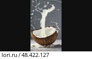 Coconut milk splashes splashed from a coconut in close-up on a gray background. Alternative vegetable milk. AI generated. Стоковое AI-видео, аниматор Ольга Симонова / Фотобанк Лори