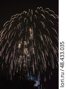 Праздничный салют. Салют в небе. Festive fireworks. Fireworks in the sky. Стоковое фото, фотограф Ольга Митряева / Фотобанк Лори