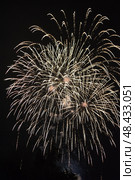 Праздничный салют. Салют в небе. Festive fireworks. Fireworks in the sky. Стоковое фото, фотограф Ольга Митряева / Фотобанк Лори