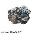 Calcite with hedenbergite mineral rock specimen isolated on white. Стоковое фото, фотограф Константин Григорьев / Фотобанк Лори