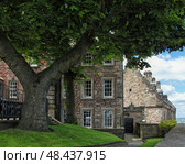 The spreading maple tree in Edinburgh castle. Edinburgh. Scotland (2010 год). Стоковое фото, фотограф Сергей Пристяжнюк (Serg Zastavkin) / Фотобанк Лори