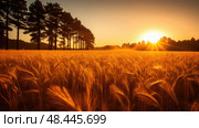 suncontrast light gold ai generated. Стоковое AI-изображение, AI-художник Vectorwin / Фотобанк Лори
