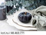 Black pumpkin on serving plates on the table for a Halloween or Day of the Dead party. Стоковое фото, фотограф Photojuli / Фотобанк Лори