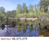 Пруд с утками весной. Новосибирск, Академгородок, Россия. Duck pond in spring. Novosibirsk, Akademgorodok, Russia. 春天的鸭塘。 新西伯利亚，Akademgorodok，俄罗斯。 Стоковое фото, фотограф Денис Баданин / Фотобанк Лори