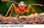 red fire ant ai generated. Стоковое AI-изображение, AI-художник Vectorwin / Фотобанк Лори