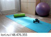 Спортивный инвентарь коврик для йоги, гантели, рол и фитбол возле шкафа в комнате при солнечном свете. Стоковое фото, фотограф Юлия Королева / Фотобанк Лори