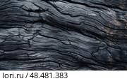 blackened charred wood ai generated. Стоковое AI-изображение, AI-художник Vectorwin / Фотобанк Лори