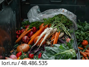 Fresh vegetables thrown away as waste in garbage dumpster, reducing food loss and composting. Стоковое AI-изображение, AI-художник Иван Рябоконь / Фотобанк Лори