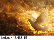 White dove flying through intense flames symbolizing holy spirit. Стоковое AI-изображение, AI-художник Иван Рябоконь / Фотобанк Лори