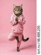 Tabby cat dressed in a pink suit, stands upright in the tree yoga pose. Vertical layout. Стоковое AI-изображение, AI-художник Катерина Ковалева / Фотобанк Лори