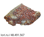Crocoite mineral specimen isolated on white background. Стоковое фото, фотограф Константин Григорьев / Фотобанк Лори
