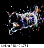 A cat is jumping through a galaxy of colorful lights. Стоковое AI-изображение, AI-художник Ярославский Максим / Фотобанк Лори