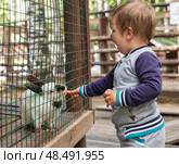 Child feeds the rabbit. Стоковое фото, фотограф Юлия Бабкина / Фотобанк Лори