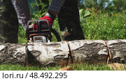 A man saws firewood with a chainsaw in the garden and sharpens a chainsaw chain. Стоковое видео, видеограф Igor Skripachev / Фотобанк Лори