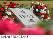 Торжественное возложение цветов на Пискарёвском мемориальном кладбище в честь 80-летия Великой Победы. Редакционное фото, фотограф Роман Рожков / Фотобанк Лори