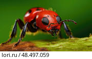 wasp red velvet ant ai generated. Стоковое AI-изображение, AI-художник Vectorwin / Фотобанк Лори