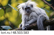 tree silvered leaf monkey ai generated. Стоковое AI-изображение, AI-художник Vectorwin / Фотобанк Лори