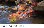 hazardous chemical spill in water ai generated. Стоковое AI-изображение, AI-художник Vectorwin / Фотобанк Лори