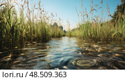 marsh aquatic plants ai generated. Стоковое AI-изображение, AI-художник Vectorwin / Фотобанк Лори