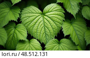 lanceolate leaf shapes ai generated. Стоковое AI-изображение, AI-художник Vectorwin / Фотобанк Лори