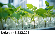 biotechnology plant research ai generated. Стоковое AI-изображение, AI-художник Vectorwin / Фотобанк Лори