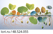 s plant nutrient transport ai generated. Стоковое AI-изображение, AI-художник Vectorwin / Фотобанк Лори