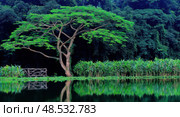 A large tree is reflected in the water of a pond. Стоковое AI-изображение, AI-художник Ярославский Максим / Фотобанк Лори