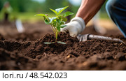 shovel planting tools ai generated. Стоковое AI-изображение, AI-художник Vectorwin / Фотобанк Лори