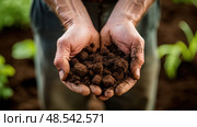 loam plant soil ai generated. Стоковое AI-изображение, AI-художник Vectorwin / Фотобанк Лори