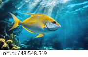 underwater golden pompano ai generated. Стоковое AI-изображение, AI-художник Vectorwin / Фотобанк Лори