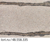 Cracks in concrete surface reveal texture and pattern on a warm day in a quiet urban setting. Стоковое фото, фотограф Кривошеина Елена Леонидовна / Фотобанк Лори