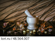 Мраморная ступка и пестик, головки и зубчики чеснока. Натюрморт с естественным светом. Стоковое фото, фотограф Сергей Комаров / Фотобанк Лори