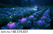Wonder and magic in a glowing cabbage field at twilight with fireflies illuminating the scene. Стоковое AI-изображение, AI-художник Сергей Толмачёв / Фотобанк Лори