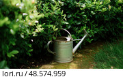 Vintage watering can resting beside a lush green hedge in a sunny garden during midday. Стоковое AI-изображение, AI-художник Сергей Толмачёв / Фотобанк Лори