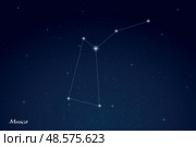 Musca Constellation with Star Names in Night Sky. Стоковая иллюстрация, иллюстратор Максим Гребешков / Фотобанк Лори