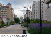 Улица Красноармейская с цветущими цветами на клумбах в летний день. Екатеринбург (2024 год). Редакционное фото, фотограф Pukhov K / Фотобанк Лори