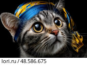 A cat wearing a blue bandana is staring at the camera. Стоковое AI-изображение, AI-художник Ярославский Максим / Фотобанк Лори