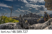 The unique landscape of Madagascar. Karst rocks with sharp peaks and steep slopes. A man with backpack and climbing equipment stands on a cliff, view from the back. Blue sky, clouds.Tsingy De Bemaraha. Стоковое фото, фотограф Вера Ивановна Кубарева / Фотобанк Лори