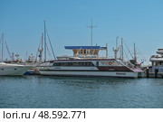 Пассажирский катамаран «Грифон» компании «Водоходъ» в морском порту Сочи (2023 год). Редакционное фото, фотограф Екатерина Лызлова / Фотобанк Лори