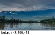 A calm tropical river in the jungle. Early morning. Thickets of rain forest on the shores. Blue sky, clouds. Reflection on the shiny water. Malaysia. Borneo. Sandakan.Kinabatangan River Nature Reserve. Стоковое фото, фотограф Вера Ивановна Кубарева / Фотобанк Лори