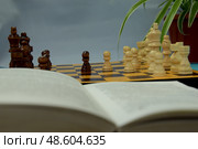 Раскрытая книга на фоне шахматной доски и фигур. Черные и белые фигуры шахмат расставлены на доске. Стоковое фото, фотограф Иветта Александровна Эйвазова / Фотобанк Лори