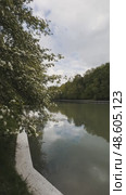 Panorama of the park pond on a cloudy summer day. Стоковое видео, видеограф Ярославский Максим / Фотобанк Лори
