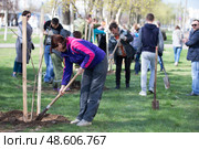 Belarus, Gomel, April 21, 2018. The Central District. Tree planting. People plant trees in the city. Редакционное фото, фотограф Лазаренко Светлана / Фотобанк Лори