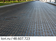Metal paving stones. Cast-iron bridge on Penkovoy over the bypass canal, Kronstadt. Стоковое фото, фотограф Оксана Медведева / Фотобанк Лори