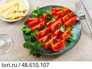 Fresh sliced tomatoes and cilantro nicely served on plate. Стоковое фото, фотограф Яков Филимонов / Фотобанк Лори